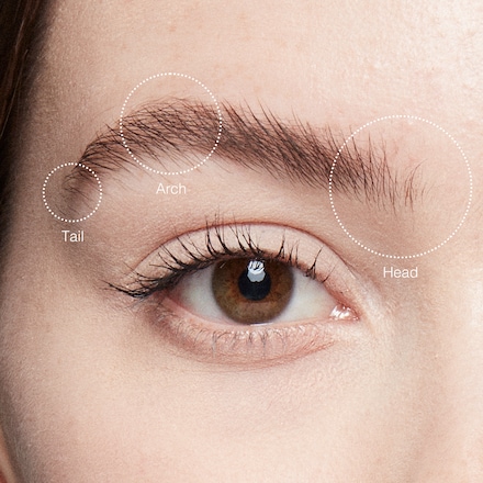 Neutral Brown Brow Kit